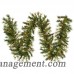 The Holiday Aisle Mixed Country Pine Garland HLDY2130